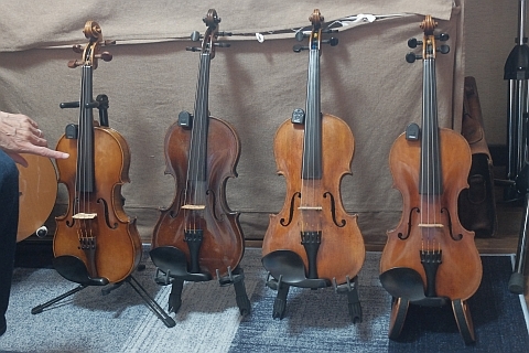 violins.jpg